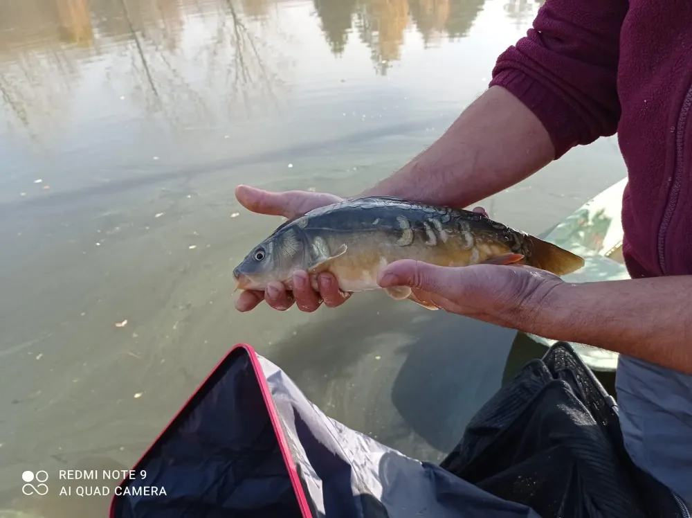 Pêche à Les Halles